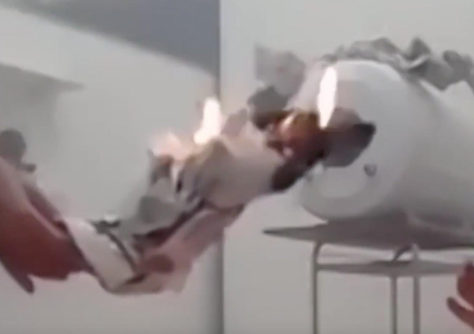 Capture d&rsquo;écran 2020-12-25 à 13.07.45