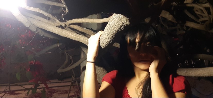 485B33D6D637413493CC7F6DD8523EDA