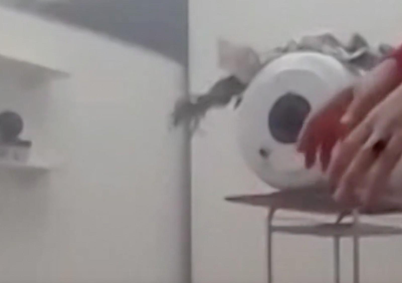 Capture d&rsquo;écran 2020-12-25 à 13.07.24