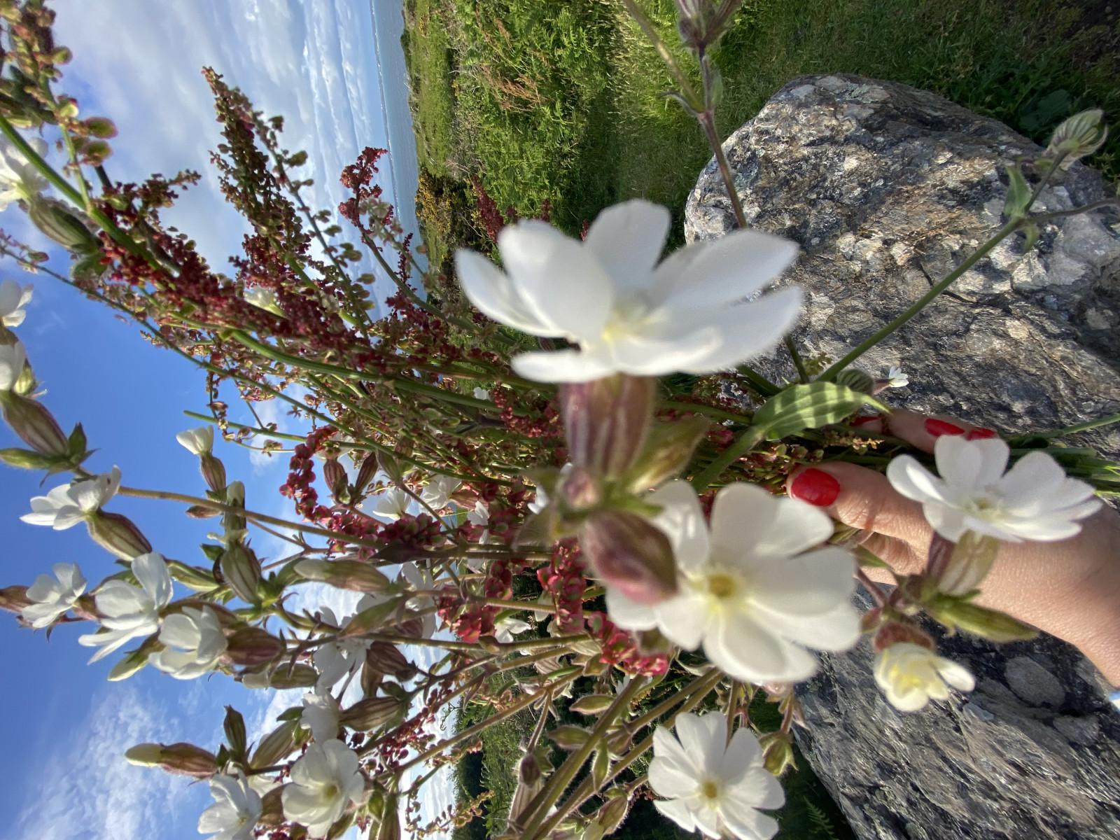 groix sieste sur le menhir