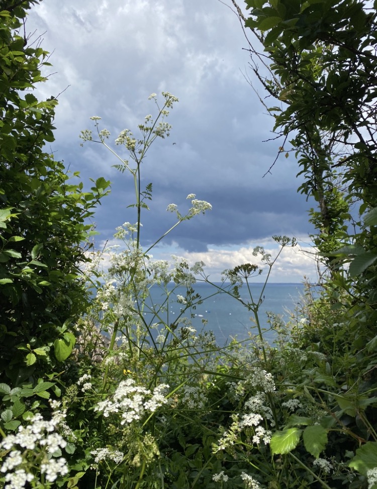 groix sentier vers port lay